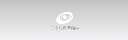 鉛(上)